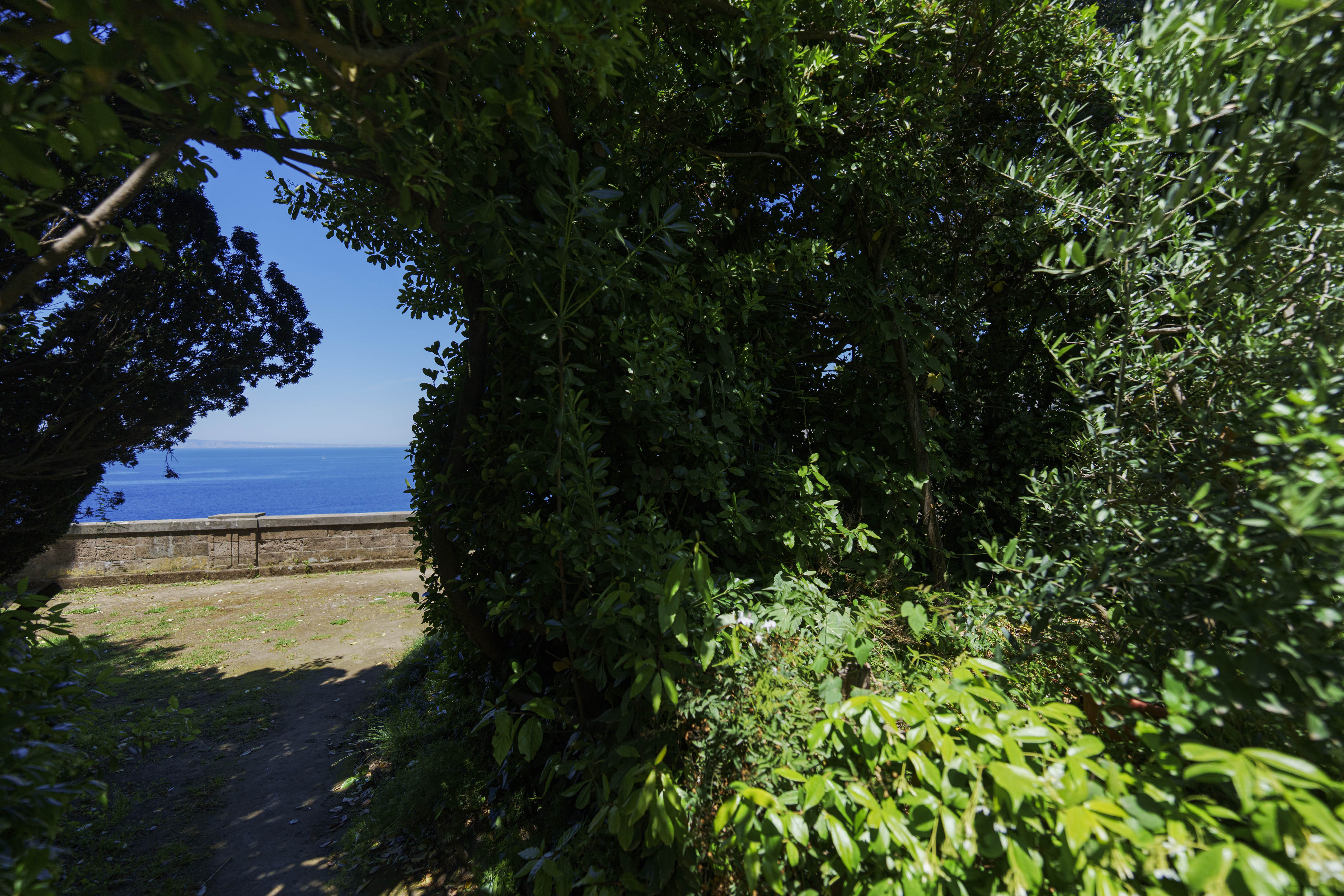 Giardino, villa preziosa, il pizzo, golfo di napoli, vesuvio, vacanze, appartemento